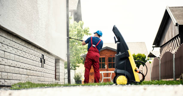 Best Gutter Cleaning  in Appleton City, MO